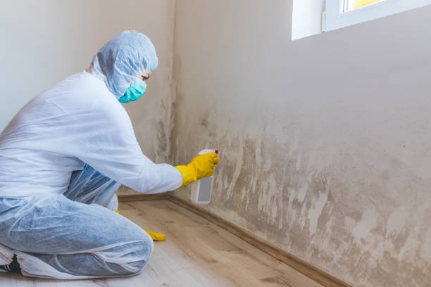 Licensed Mold Inspection service in Fort George G Meade, MD - WQB Mold Removal