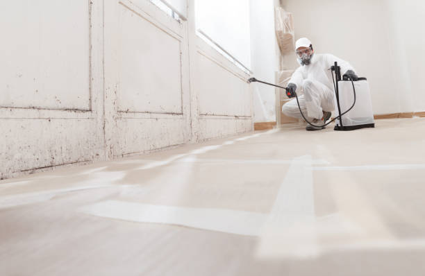 Trusted Mold Inspection service in Fort George G Meade, MD - WQB Mold Removal