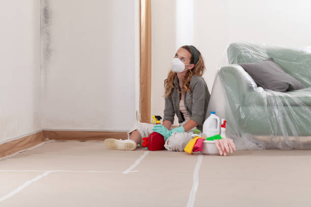 Reliable Mold Inspection contractor in Fort George G Meade, MD by WQB Mold Removal