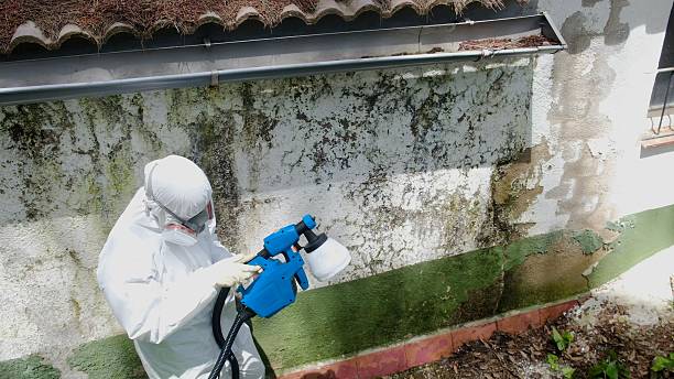 Top rated local Mold Inspection specialists in Fort George G Meade, MD